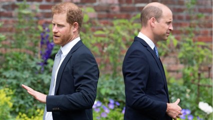 GALA VIDEO - Le prince William fulmine : Harry pratique un double jeu