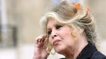 GALA VIDEO -Brigitte Bardot absente à son procès : ce certificat médical qui interroge