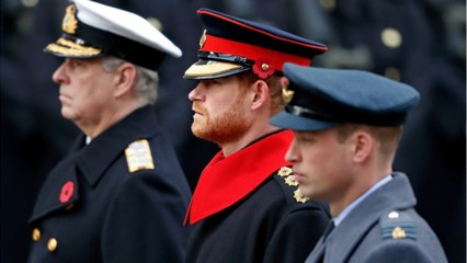 GALA VIDEO - Elizabeth II démine les tensions entre William et Harry, elle coupe court à tout incident