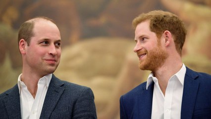 GALA VIDEO - Harry et William : ce "gouffre insurmontable" entre les deux frères