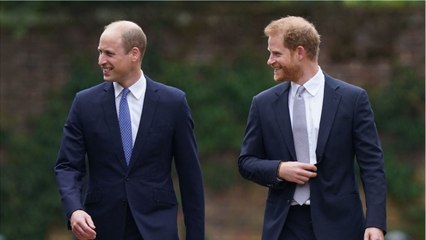 GALA VIDEO - William accusé de dénigrer Harry : sa contre-attaque.