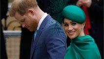 GALA VIDEO - Meghan Markle, c'est « Pinocchio 