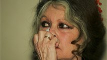 GALA VIDEO - Brigitte Bardot s'attaque à Marie-Sophie Lacarrau : “Elle m'a fait frémir d’horreur”
