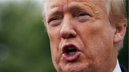 GALA VIDEO - Donald Trump : cette escroquerie tout juste démasquée