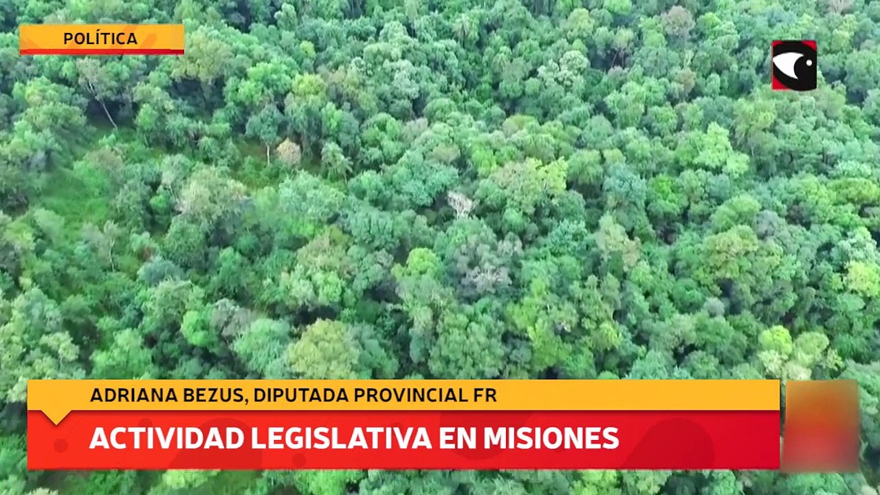 Actividad legislativa en Misiones