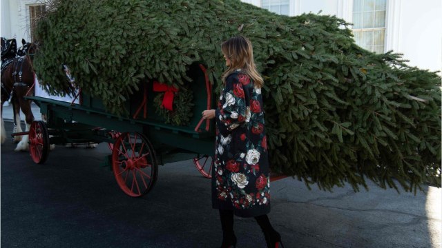 GALA VIDEO - Melania Trump mal lunée ? Ce nouveau pied-de-nez aux médias.