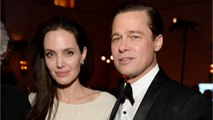 GALA VIDÉO - Brad Pitt harcelé par Angelina Jolie… La marraine de l’actrice, Jacqueline Bisset, intervient