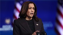 GALA VIDÉO - Kamala Harris : son histoire d’amour avec une star de la télé US refait surface