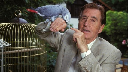 GALA VIDEO - Jean Lefebvre : amoureux des femmes et surtout d'une, Yori Bertin, qu'il a épousé deux fois