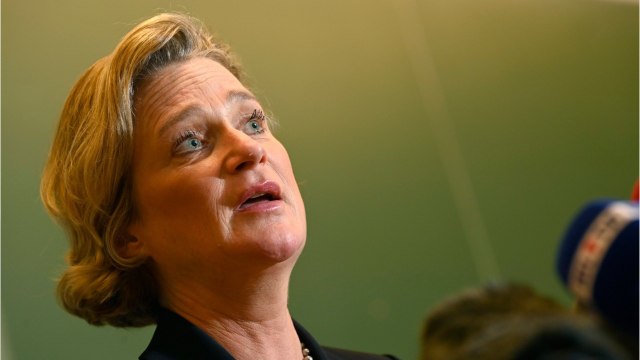 GALA VIDEO - Delphine Boël, princesse : la fille cachée du roi des Belges sort du silence