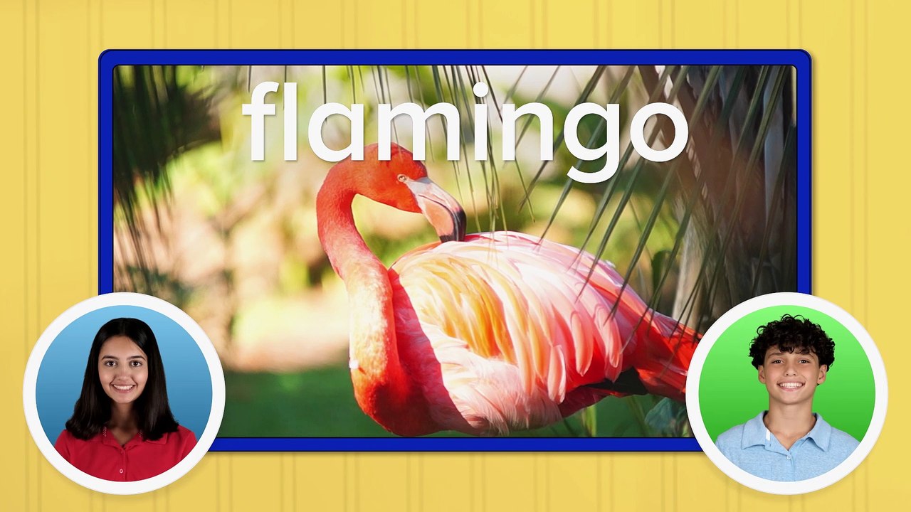 ABC Mouse - Zoo Animals and Plants and Flowers (Animales del zoológico y Plantas y flores) #18