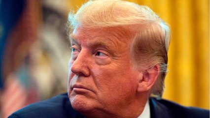 GALA VIDEO - Donald Trump : sa tentative d’empoisonnement à la ricine, le poison végétal le plus violent.