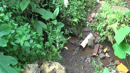 Timbulkan Bau Tak Sedap, Warga Resah dengan Saluran Kotoran yang Dipasang Sembarangan