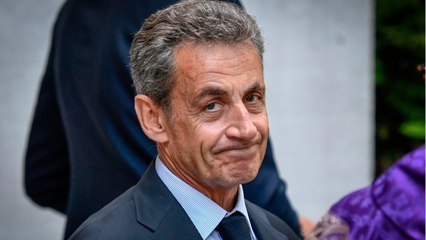 GALA VIDEO - "Un tigre ne devient jamais végétarien" : Nicolas Sarkozy rattrapé par ses ambitions ?