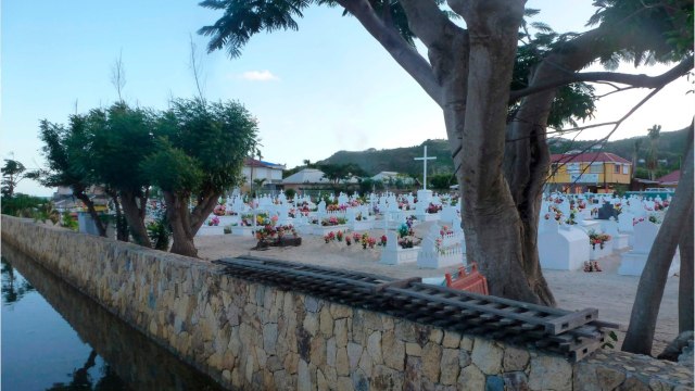 GALA VIDEO - Laeticia Hallyday et Pascal Balland : leurs vacances grand standing à Saint-Barth