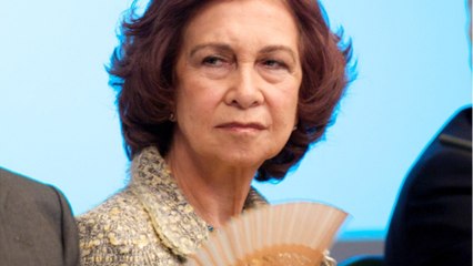 GALA VIDEO - La reine Sofia seule le soir dans la rue : cette photo qui intrigue