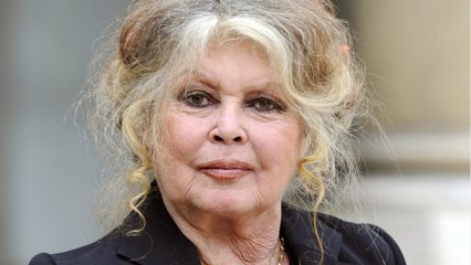 GALA VIDEO - Brigitte Bardot présente ses excuses après avoir crié à l’escroquerie