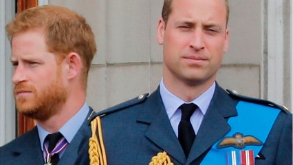 GALA VIDEO - William et Harry : frères et rivaux malgré eux