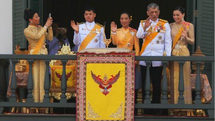 GALA VIDEO - Roi de Thaïlande : cette chasse au chien qui fait polémique