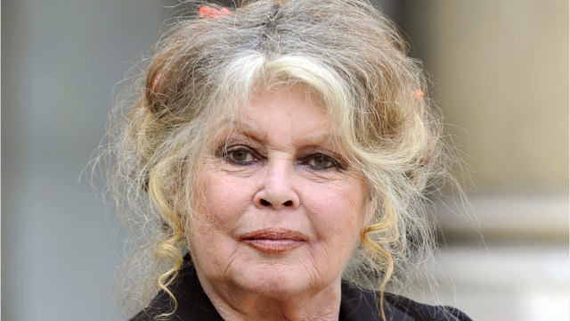 FEMME ACTUELLE - Brigitte Bardot : ses confidences sur ses contacts difficiles avec ses deux petites filles