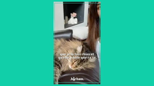 GALA VIDEO - BICHON - REEM KHERICI