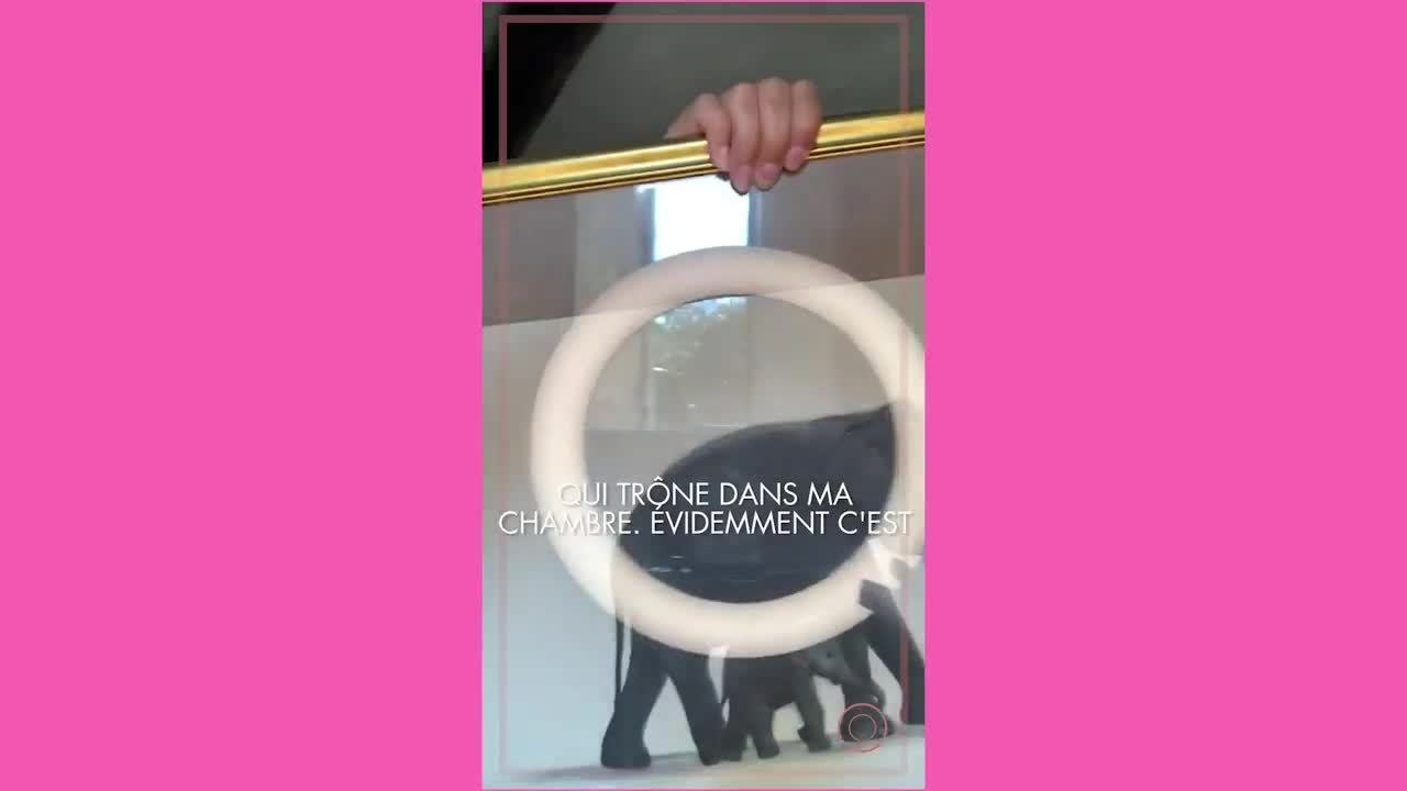 GALA VIDEO - LE PETIT MONDE DE JOYCE JONATHAN