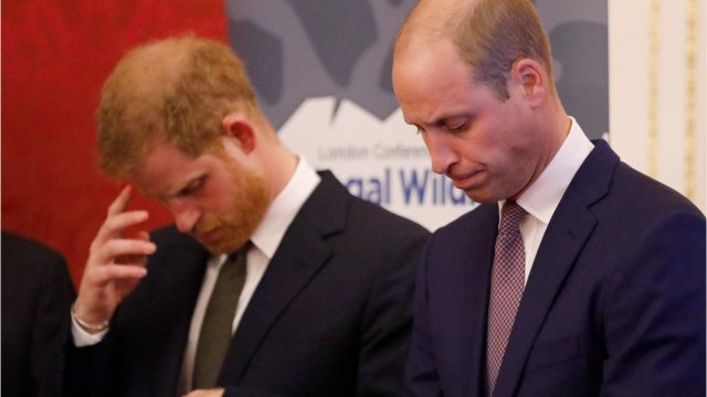 GALA VIDEO - Harry et William fâchés : cette statue de Lady Diana qui en a fait les frais