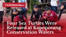 Four Sea Turtles Were Released at Kapoposang Conservation Waters