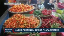 Harga Cabai Naik Akibat Cuaca Ekstrim