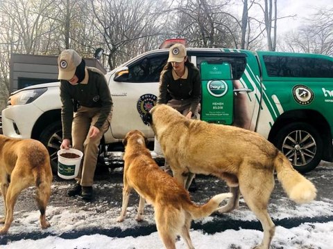 Son dakika! Polis ekipleri sokak hayvanlarını besledi