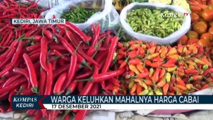 Harga Cabai Melambung Hingga 90 Ribu Rupiah per Kilogram