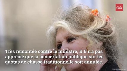 Brigitte Bardot n’a pas la langue dans sa poche, sa charge contre un ministre : « il ne sert à rien »