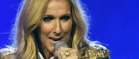 GALA VIDEO - Céline Dion en maillot de bain dans la piscine : la photo qui électrise la Toile