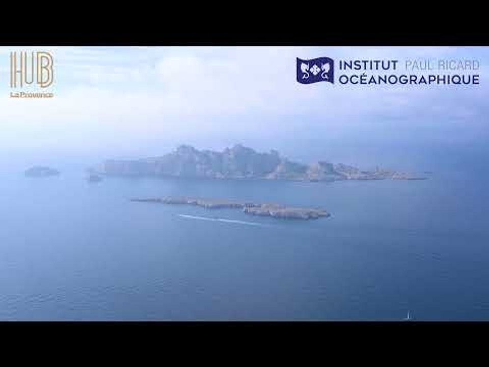 Trophées de l'économie des Bouches-du-Rhône : Patricia Ricard, trophée coup de cœur