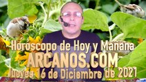 Horóscopo de Hoy y Mañana - ARCANOS.COM - Jueves 16 de Diciembre de 2021