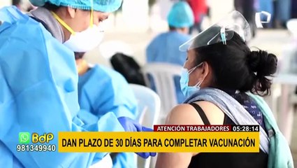 Carnet de vacunación: estos trabajadores sin vacunar pueden laborar presencialmente por 30 días