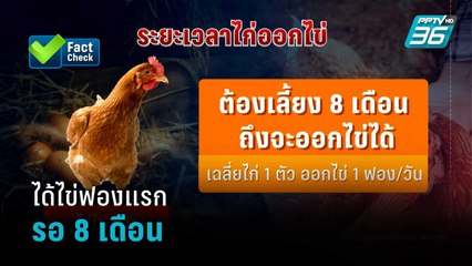 เปิดใจคนเลี้ยงไก่กว่าจะได้ไข่ฟองแรกรอ8เดือน | เข้มข่าวค่ำ