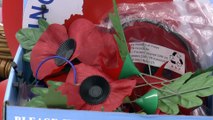 Kent veteran and Royal British Legion volunteer mark Remembrance Day