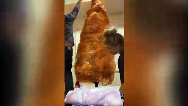 Moment a mum unwrapped her Christmas tree with last years decorations still in place - after preserving the ornaments in memory of her late son