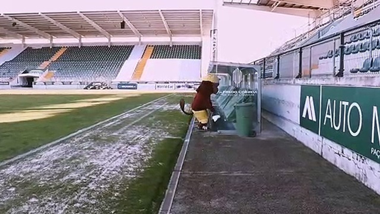 Paços de Ferreira