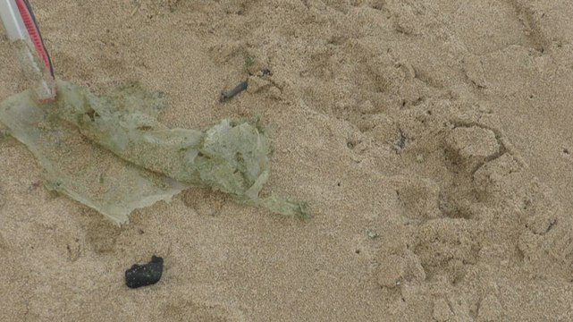 Kent litter picker calls for more action to combat littering on the coast