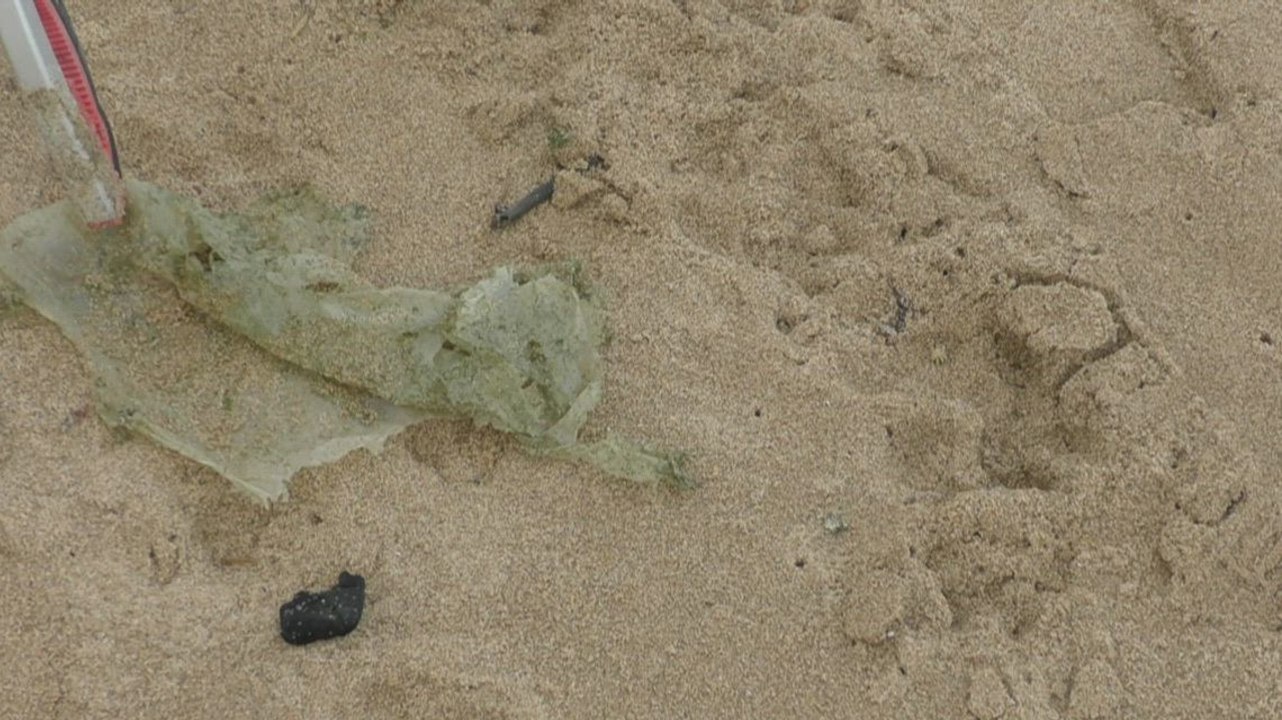 Kent litter picker calls for more action to combat littering on the coast