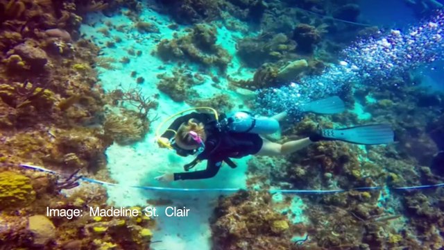 Faversham climate activists call on leaders to protect the oceans or endanger food supply and fishing in the county