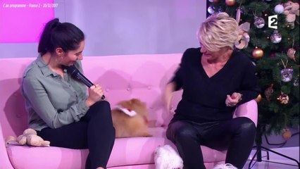 GALA VIDEO - C'est au programme : Sophie Davant se fait mordre en direct par un chien