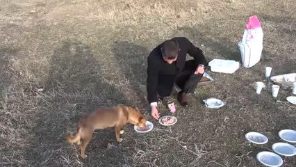 Sokak ve yaban hayvanları için farklı noktalara yem bırakıldı