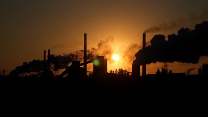 Canterbury council pledge to go net zero by 2045 but business fear they'll foot the bill