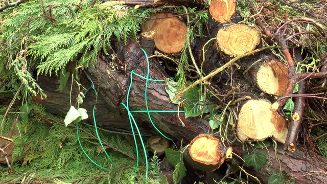 Security measures to stop travellers to be considered by Council