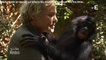 GALA VIDEO - Muriel Robin émue aux larmes lorsqu'elle rencontre Kinsele le bonobo