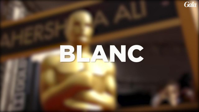 GALA VIDEO- Revue des looks des Oscars 2017