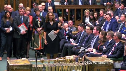 Maidstone MP Helen Grant quizzes PM on delivering Brexit